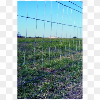 Field Fencing, Aka Hog Wire, Is A Mesh Of Steel Wires - 12.5 Gauge Field Fence Clipart