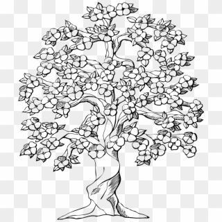 Tree Big Old Wood Plant Png Image - Drawings Of Trees With Flowers Clipart