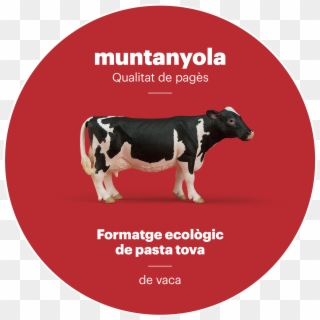 Pasta Tova - Dairy Cow Clipart