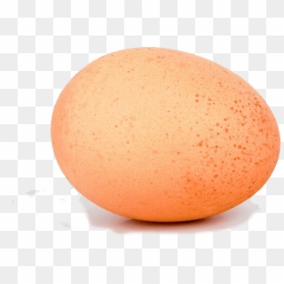 Egg, Chicken Egg - Oval Clipart