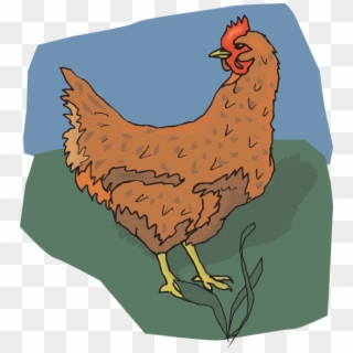 Brown Chicken Looking Back Svg Clip Arts 540 X 597 - Rooster - Png Download