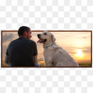 Dogs Called Man's Best Friend Clipart