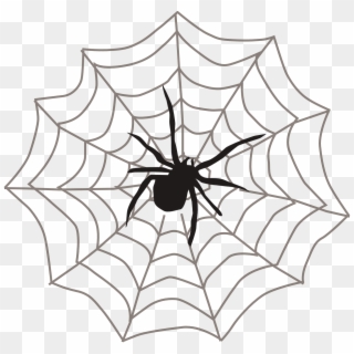 Spider Web Black Arachnid - Clipart Spider - Png Download