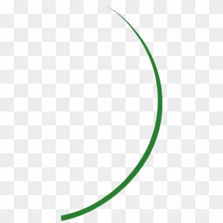 Circle Clipart