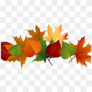 Fall Leaves Transparent Background Clipart