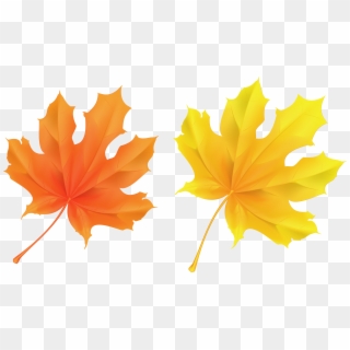Fall Leaf Clipart No Background - Orange Leaves - Png Download