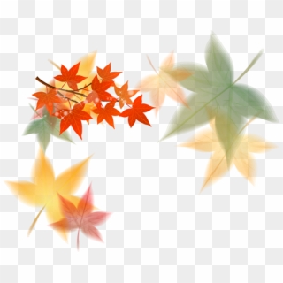 Maple Leaf, Download, Cdr, Leaf, Tree Png Image With - Leaf Background Png Free Download Clipart
