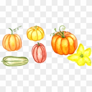 Watercolor Pumpkins Png - Pumpkin Clipart