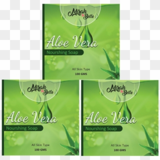 Soap Transparent Aloe Vera - Flyer Clipart