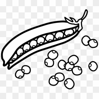 Pea Clipart Pod Real - Peas Clipart Black And White - Png Download