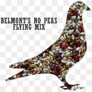 Belmont S No Peas Flying 1 Clipart