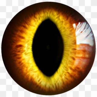 Eye Sticker By Official - Close-up Clipart