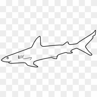 Shark Outline Png - Tiger Shark Clipart