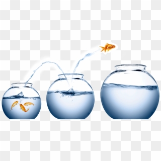 It's Easy To Treat Wealth A Bit Like Being A Koi In - Fish Jumping From One Bowl To Another Clipart