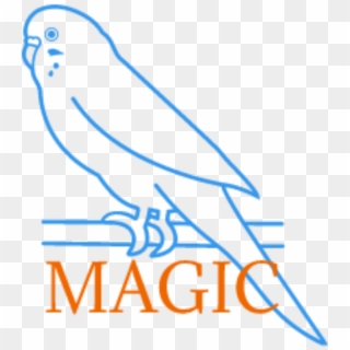 Parakeet Magic Parakeet Magic - Parrot Clipart