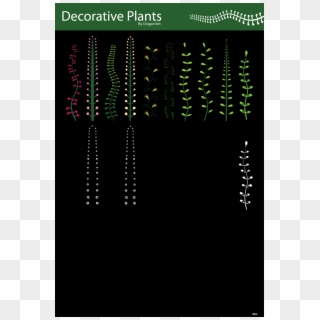 Free Vector Decorative Plants Vector - Colorfulness Clipart