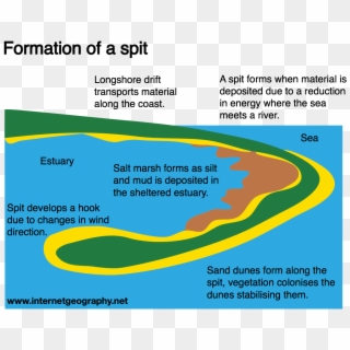 Landforms Of Coastal Deposition Internet Geographythe - Graphic Design ...