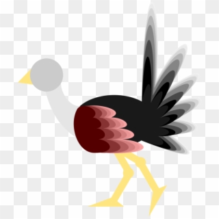 Common Ostrich Bird Rooster Wing Feather - Flightless Bird Clipart