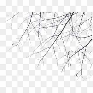 Tree-016 - Branches Clipart