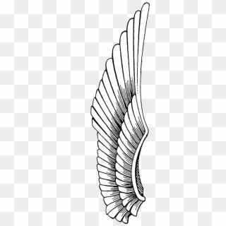 516 X 1396 7 0 - Wings Drawing Clipart