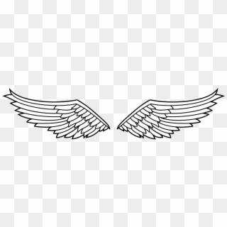 Insignia Wings Eagle - Angel Wings Transparent Clipart - Png Download