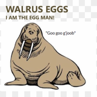 Artist , Png Download - Walrus Egg Clipart