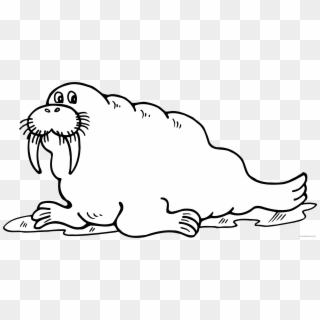 Walrus Clipart Outline - Black And White Walrus - Png Download