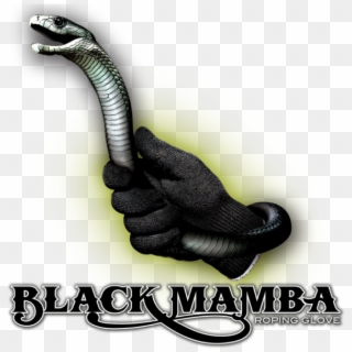 Black Mamba Png Image - Snake Clipart