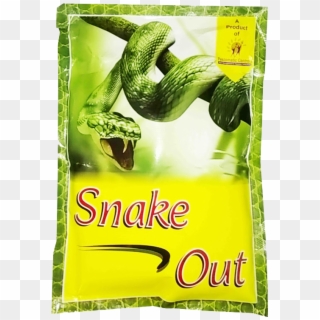 Troubled By Snakes - 3d Animals Clipart