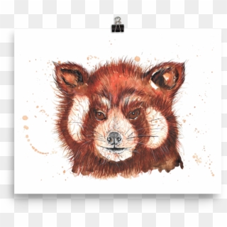 Image Of 'red Panda' - Red Fox Clipart