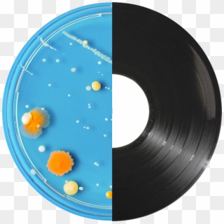 Dish And Record - Circle Clipart
