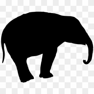 Download Png - Indian Elephant Clipart