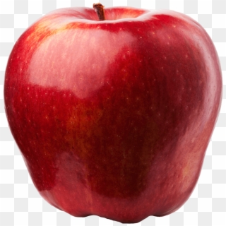 Early Red One - Batlow Apples Clipart