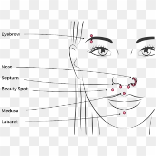 Eye Piercing Chart