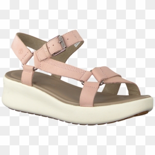 Pink Timberland Sandals Los Angeles Wind Spo Womens - Sandal Clipart