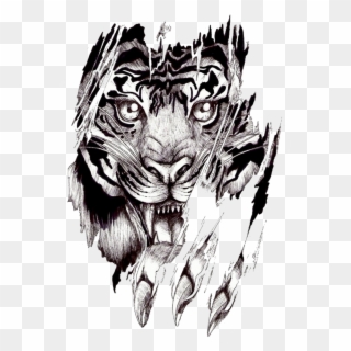 Photo Whitetigertear - Polynesian Tiger Tattoo Designs Clipart