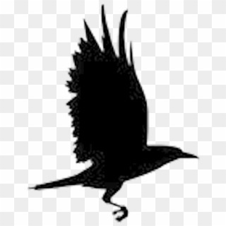 Raven Art Png - Raven New Hope Logo Clipart