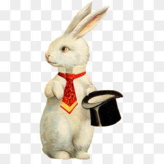 White Rabbit Tophat Graphicsfairy - Rabbit With Top Hat Clipart