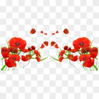 Forget Me Not Red Flowers , Png Download - Poppy Flower Png Clipart