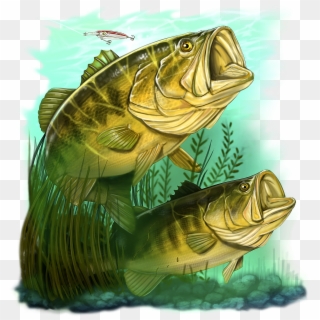 Large Mouth Bass Png Clipart