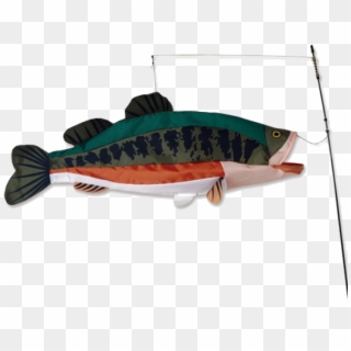 Large Mouth Bass Swimming 3d Fish - Bass Fish Kite Clipart