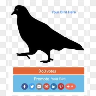 Vector Pigeon Silhouette Clipart