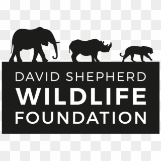 Impact Partners - David Shepherd Wildlife Foundation Clipart