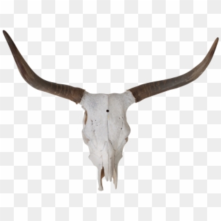 Vector Skulls Longhorn - Horn Clipart