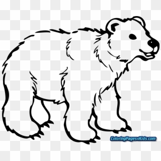 Brown Bear Coloring Pages For Kids Page - Grizzly Bear Clip Art Black And White - Png Download
