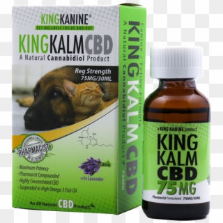 How Cbd Oil Will Change The Life Of Your Kitty Cat - Companion Dog Clipart
