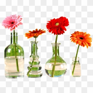 This Graphics Is Beautiful Flower Arrangement Png Chrysanthemum - Barberton Daisy Clipart