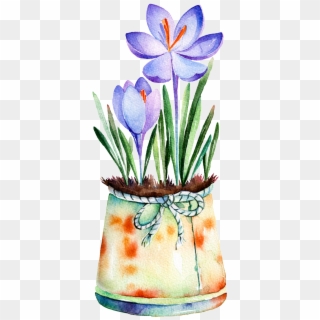 Purple Flower Potted Hand Painted Watercolor Transparent - Watercolor Painting Clipart
