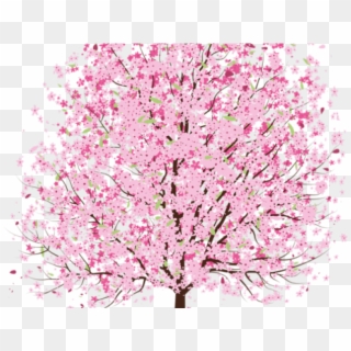 Cherry Tree Clipart Transparent - Cherry Blossom Tree Transparent - Png Download