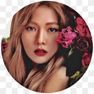 Mediocre Kpop Edits~ Hyuna X Beige Aesthetic Icons~ - Rose Clipart